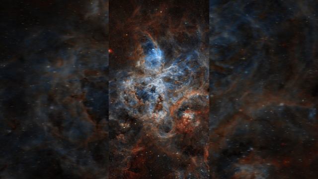 Хроники Звёздного Странника