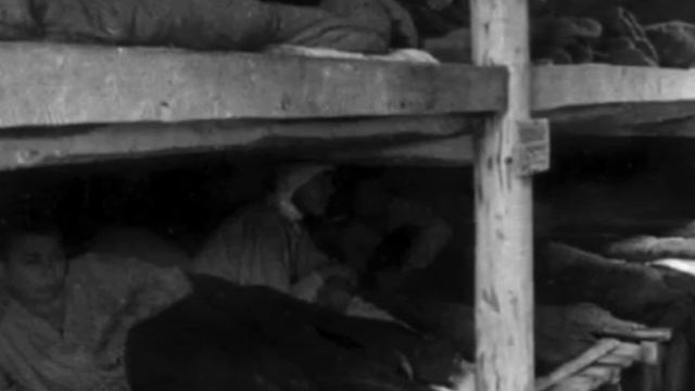 "Война без купюр". Фильм девятнадцатый: "Дикарём - НА ФРОНТ"