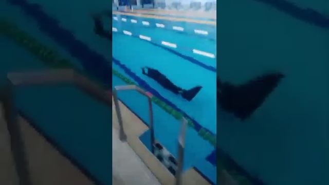 Тренировка по отработке техники дельфин в моноласте. 50 м за 26 секунд