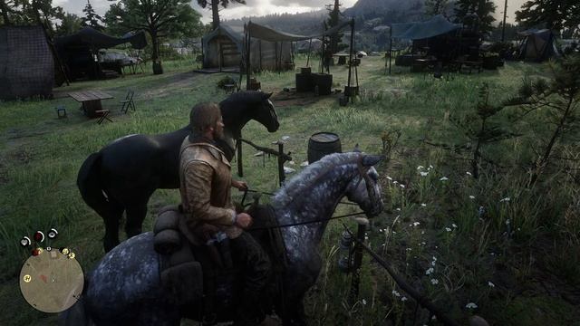 Red Dead Redemption 2 - прохождение [07] - ПК PC русские субтитры