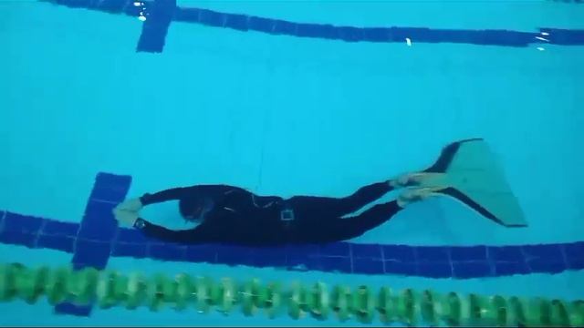 Проныр 50м в моноласте