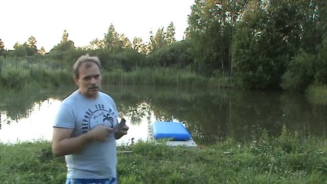 Пруд как домашний питомец