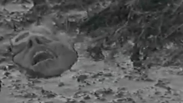 "Война без купюр". Фильм двадцать первый: "СЕСТРИЦА, ПОМОГИ!.."