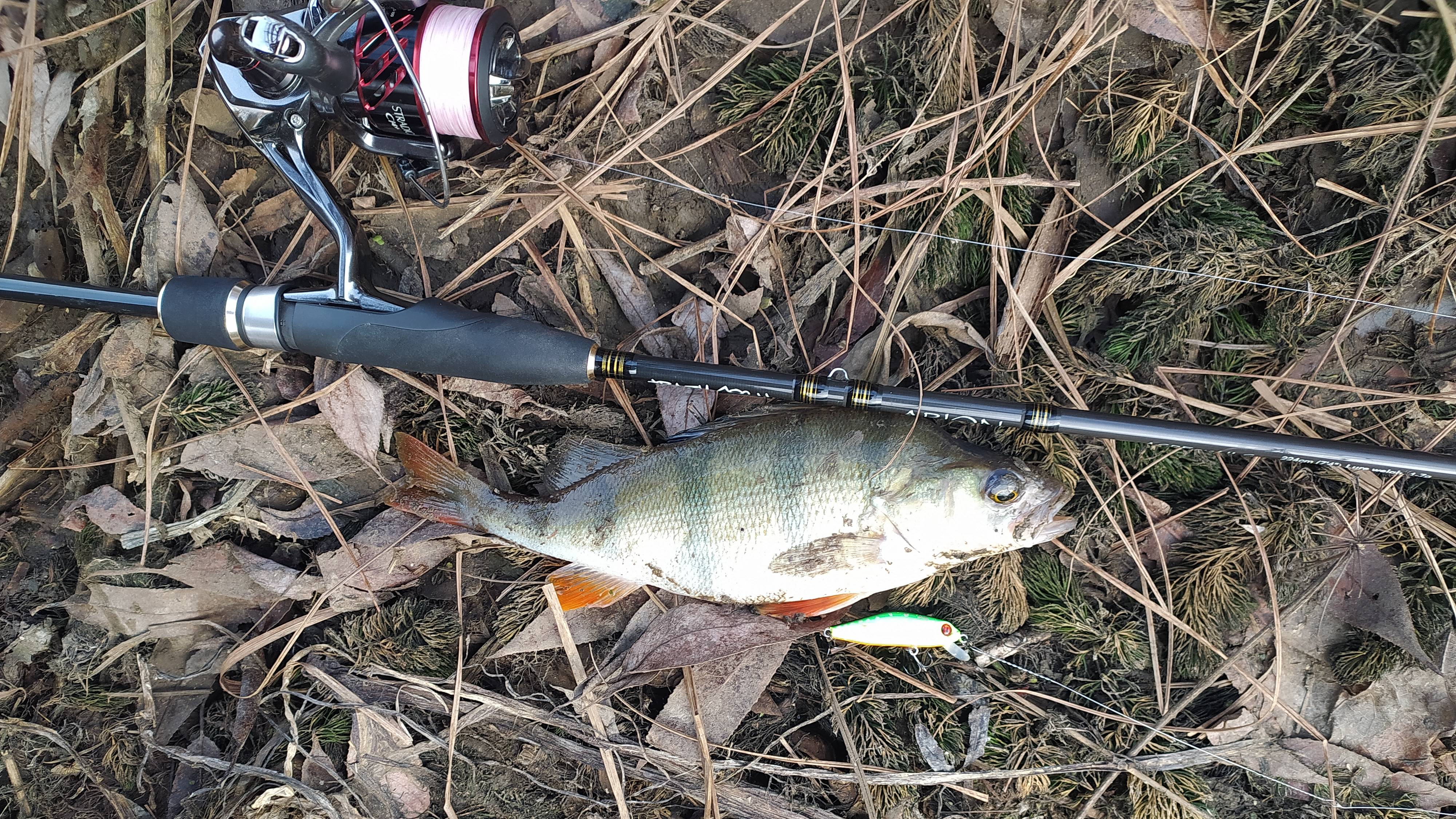 Десна, у мостов 13 ноября 2024 года