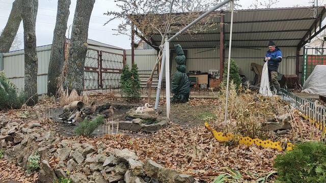 ПроДачу в ноябре.