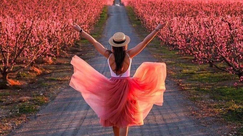 7 шагов к благополучной жизни. Урок 1. Силы рода