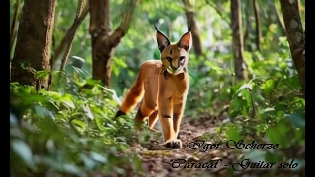 Igor Scherzo - "Caracal" - Guitar solo (2017 year)