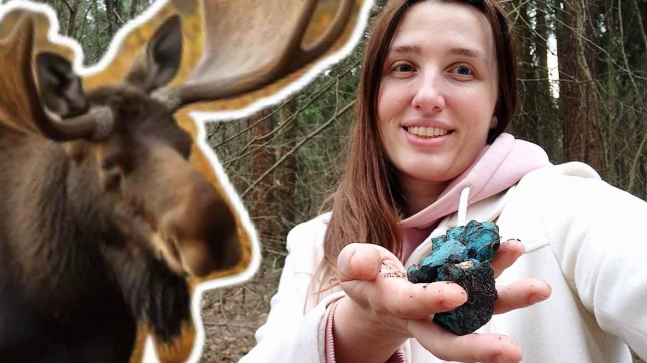 Бирюза в подмосковном лесу и лоси нашлись. Весенние поиски камней и самоцветов в Московской области