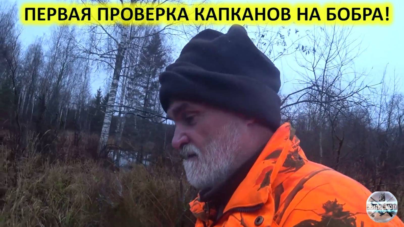 Осенняя охота на бобра с капканами. Первая проверка капканов на бобра.