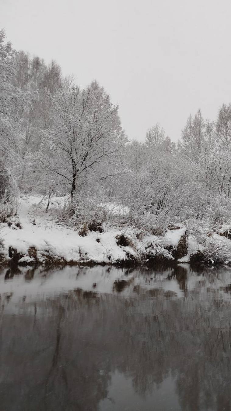 Теплый ноябрь (3) - зима на пороге!
