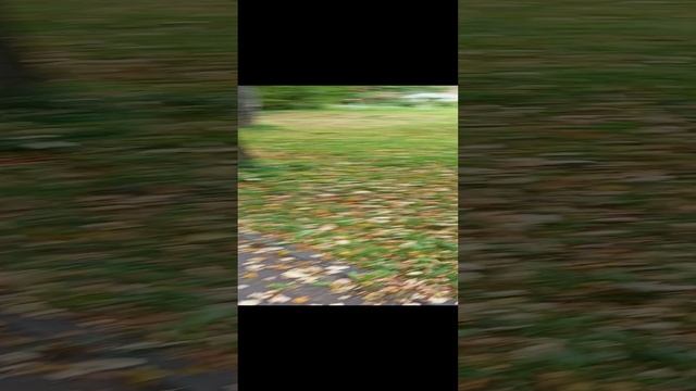 Парк Скульптур Сыктывкар.  Сентябрь 2024