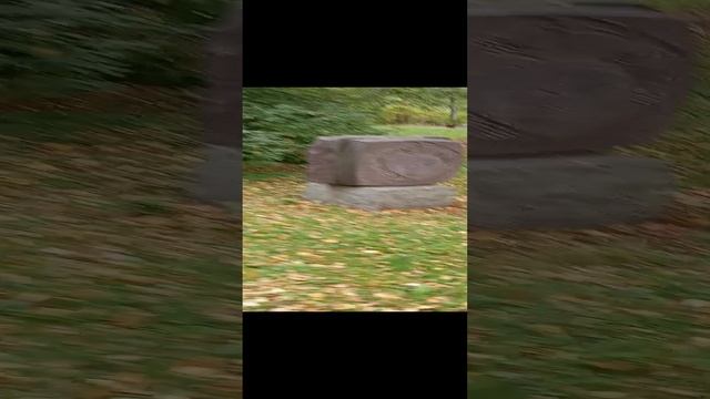 Парк Скульптур Сыктывкар.  Сентябрь 2024