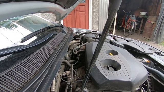 Досмотр, техосмотр автомобиля кошками. Kia k5 (Оптима) 🤣🤣🤣