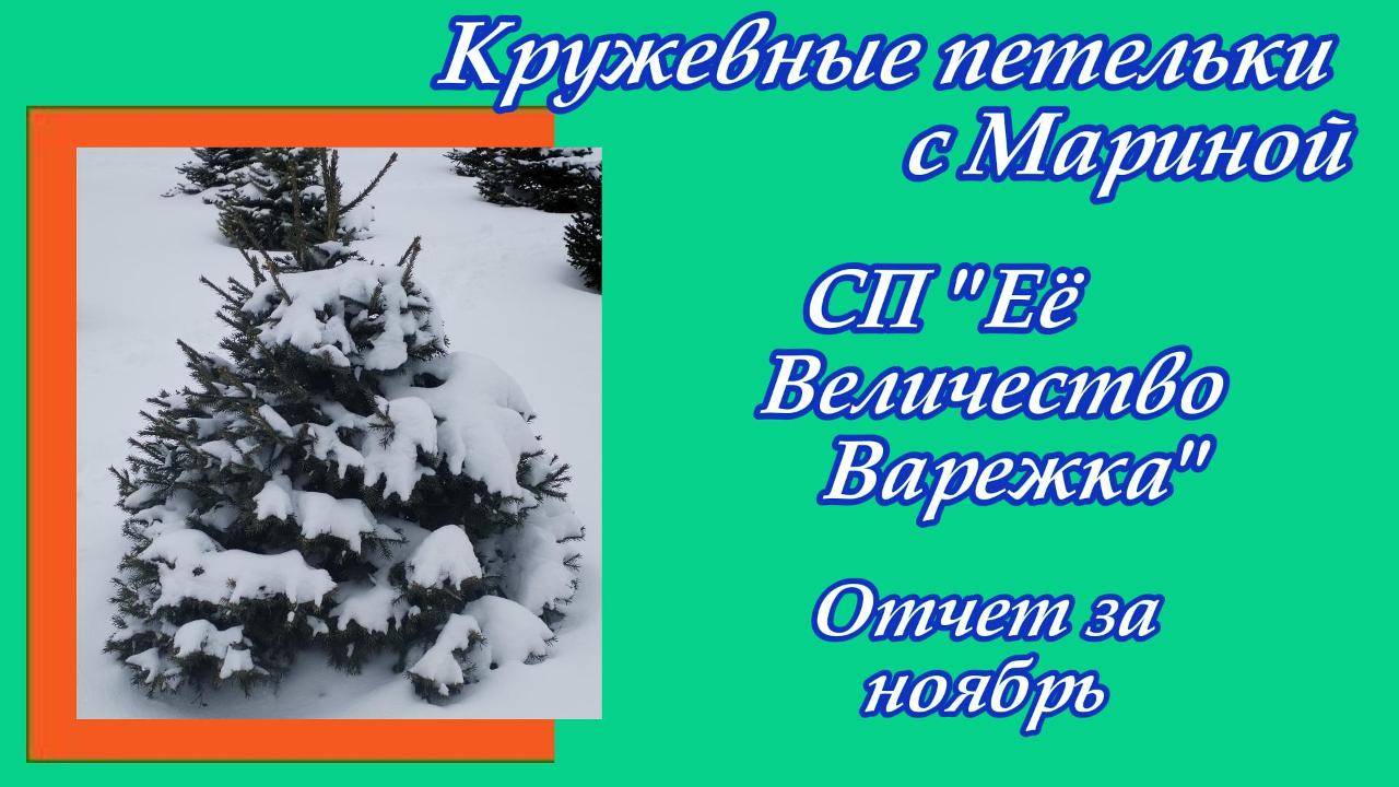 СП "Её Величество Варежка" / Отчет за ноябрь / Участник 42