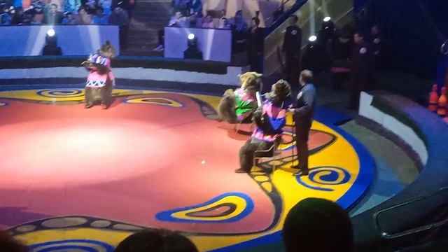 Дрессированные мишки играют на музыкальных инструментах и поют