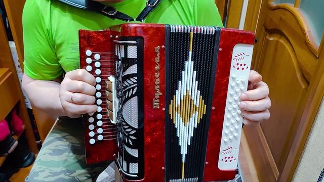 Красивые наигрыши на гармони как быстро научиться играть на гармони 3 аккорда 300 песен урок