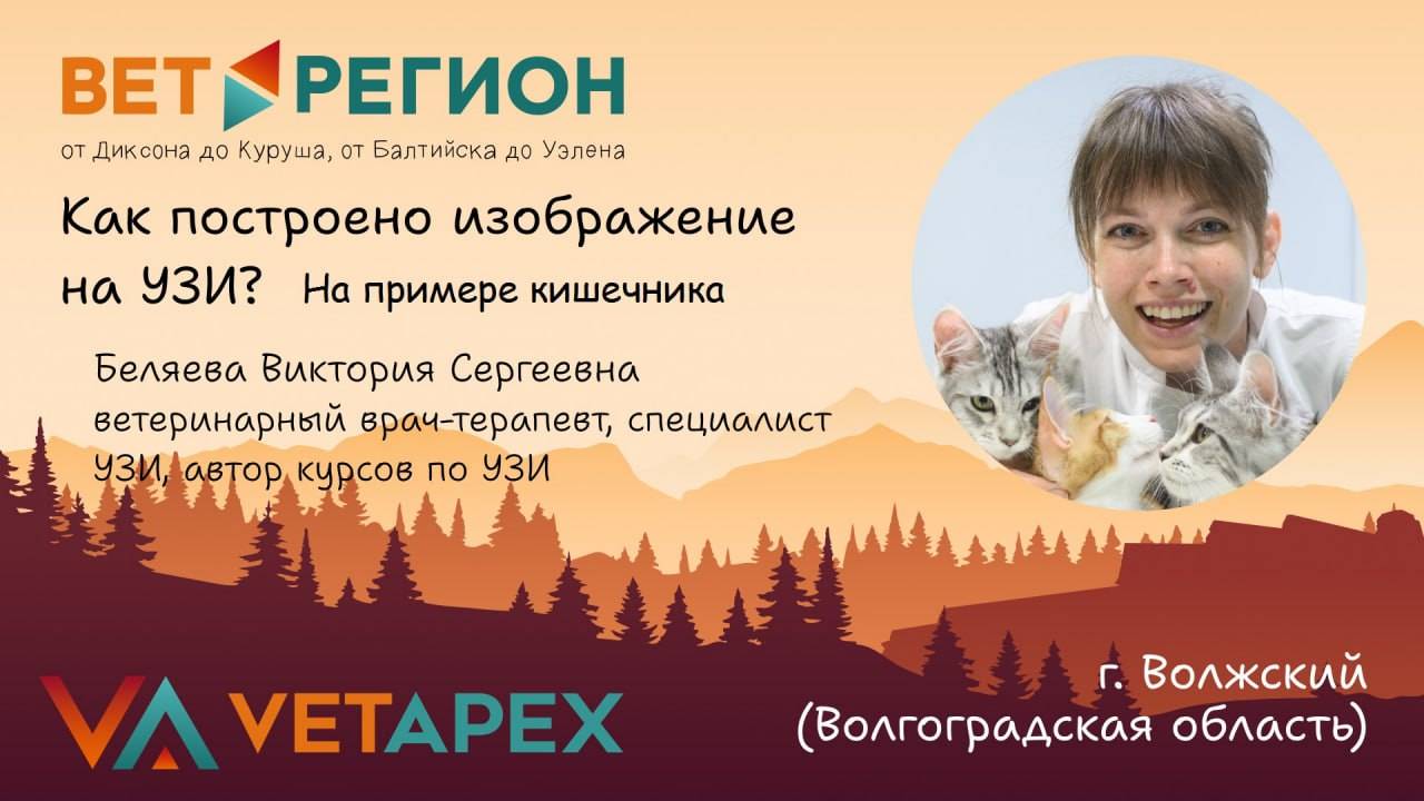 ВетРегион. Виктория Беляева - "Как построено изображение на УЗИ? На примере кишечника"
