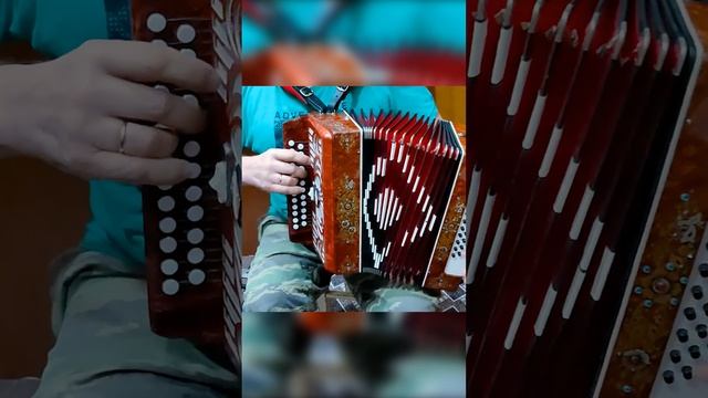 Деревня моя! 3 аккорда и 300 песен или как быстро научиться играть на гармони урок от мастера тест и