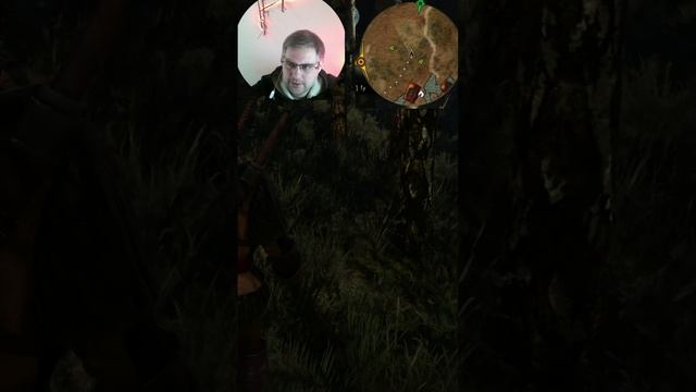 Что она там делала ▶ Ведьмак 3 Дикая Охота #shorts