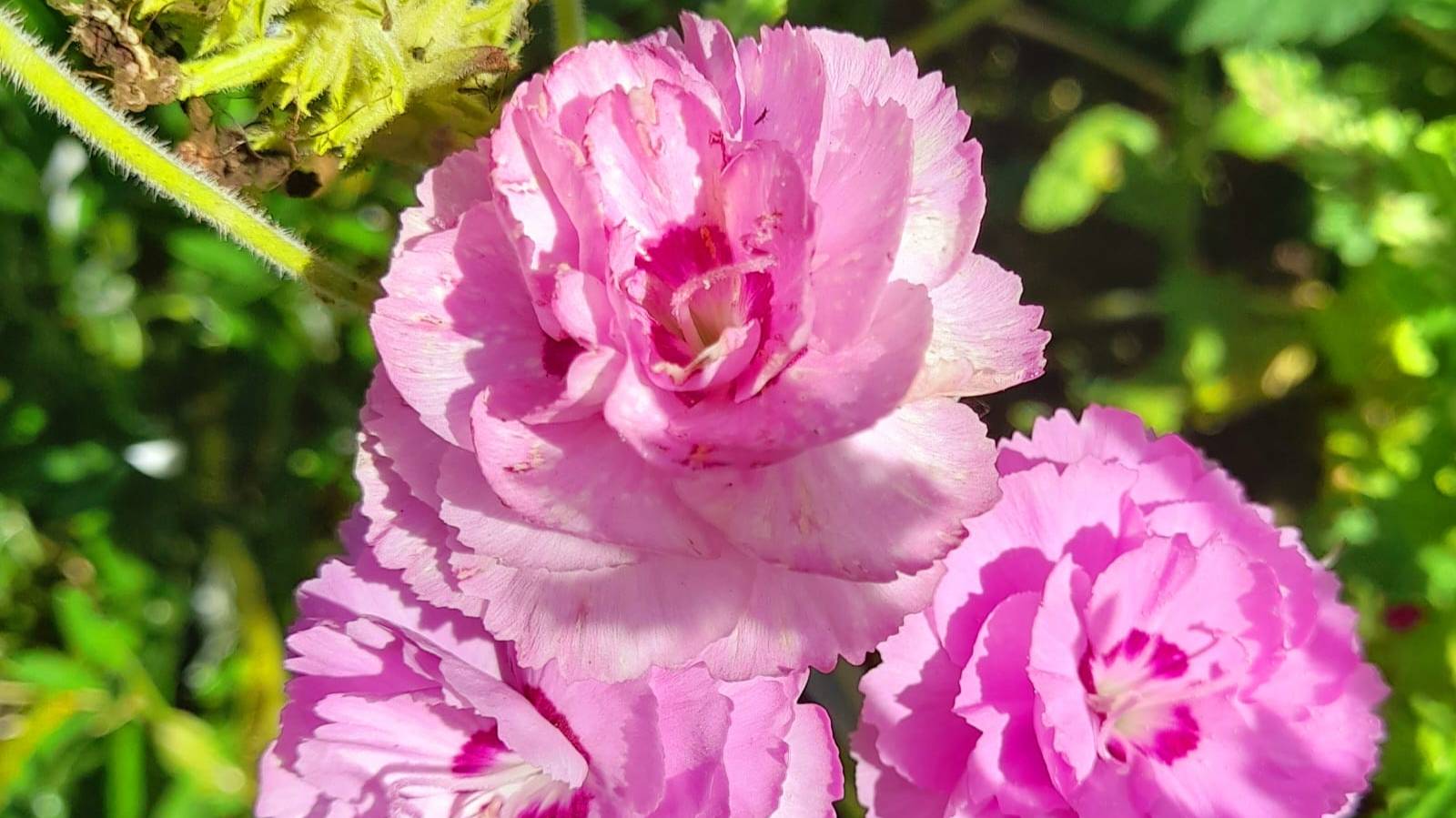 Притча о жизни. Мудрость через века.