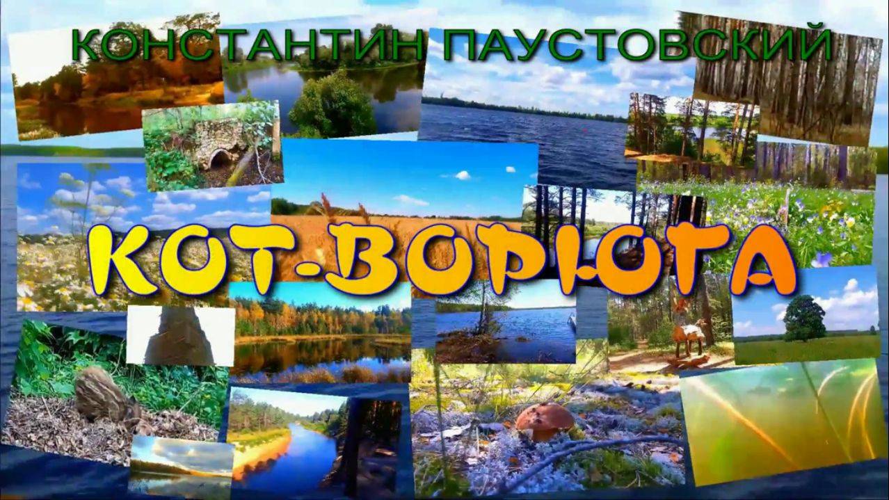 АУДИОКНИГА ,,КОТ-ВОРЮГА,, КОНСТАНТИН ПАУСТОВСКИЙ