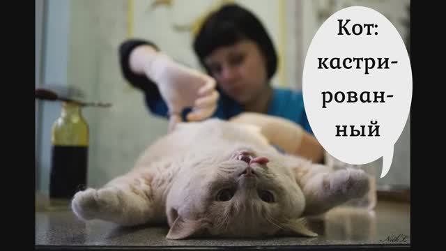 Классическая хронология падения рождаемости.