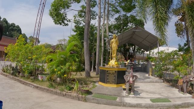 ЛОТОСЫ КУВШИНЧИКИ ХРАМ БУДДЫ В ТАО БАО ТАИЛАНД