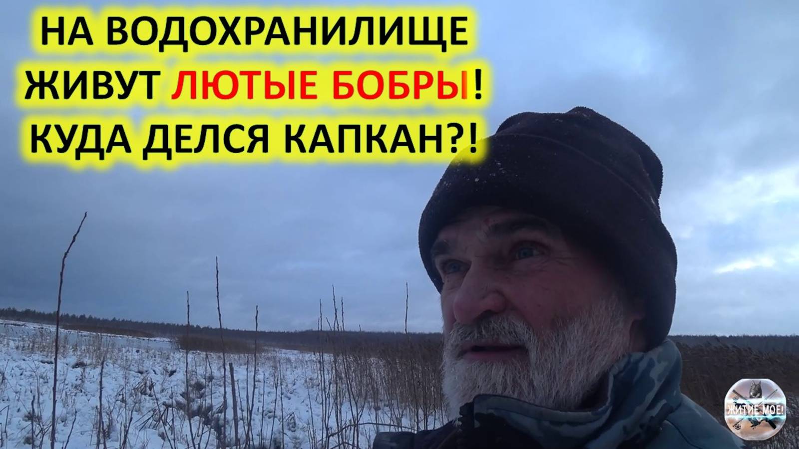 Осенняя охота на бобра с капканами. Лютые бобры. Проверка капканов на бобра.