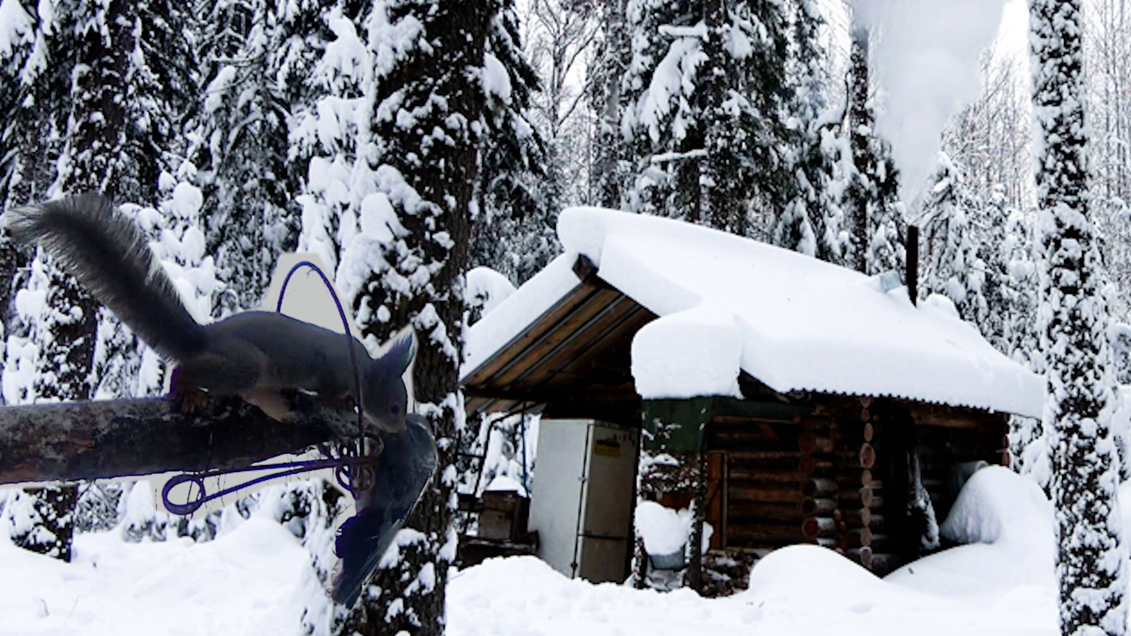 Проверка путика, Кто-то попался.