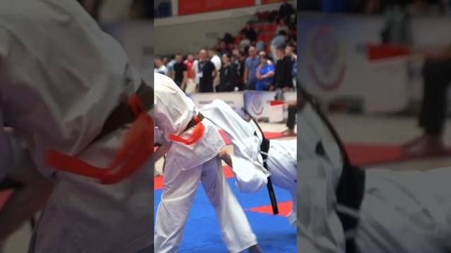 Kyokushinkai / International Competition "Kazan Bars" (1.12.24) #4