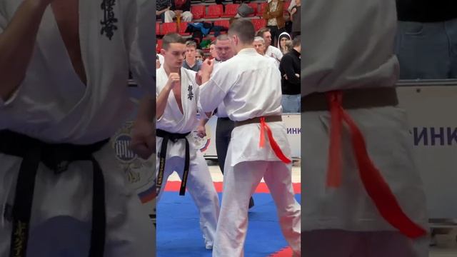 Kyokushinkai / International Competition "Kazan Bars" (1.12.24) #1