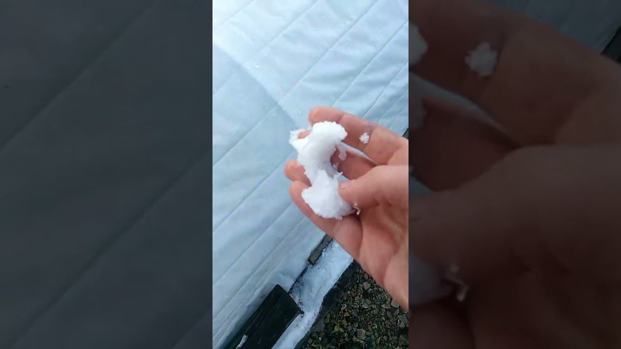 Возвратные заморозки. Термоукрывной материал от дяди Вити отбивает третью волну заморозков.