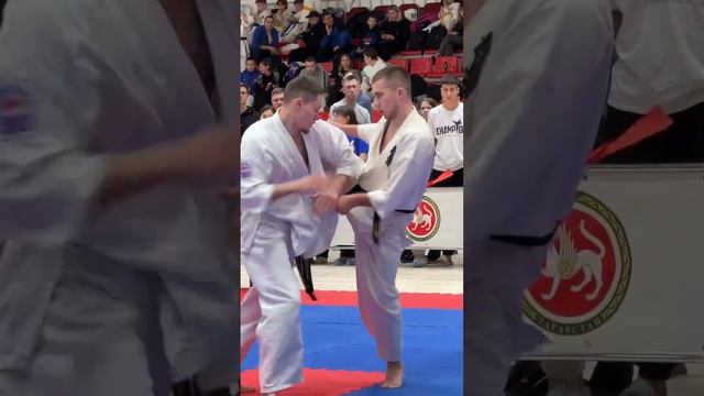 Kyokushinkai / International Competition "Kazan Bars" (1.12.24) #3