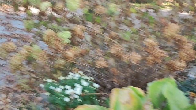 Что случилось на даче? Мы приехали.