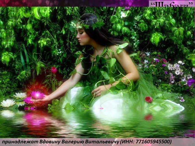 Шабаш (вариация 2)