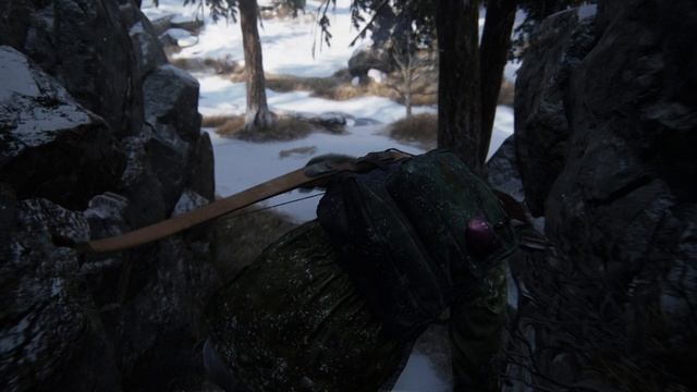 The Last of Us Part 14