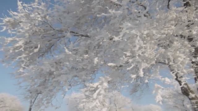 Зимняя песня... Песня на стихи  -  Светланы Корельской