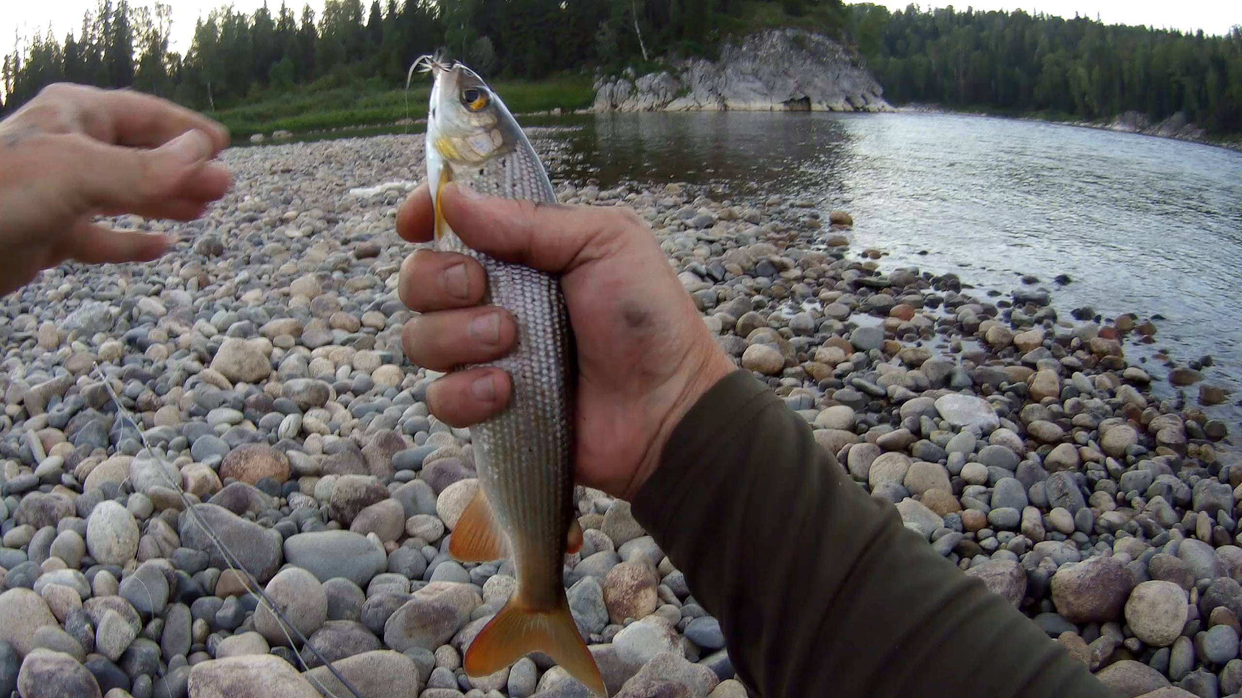 Нахлыст и эмоции.