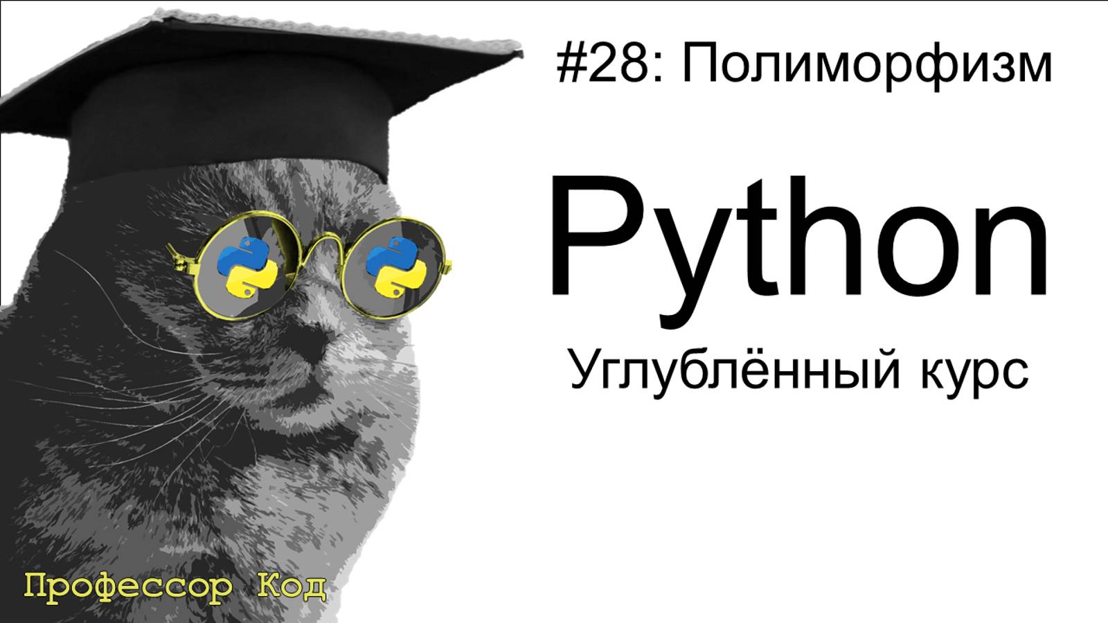 Полиморфизм | Python: углубленный курс| Профессор код