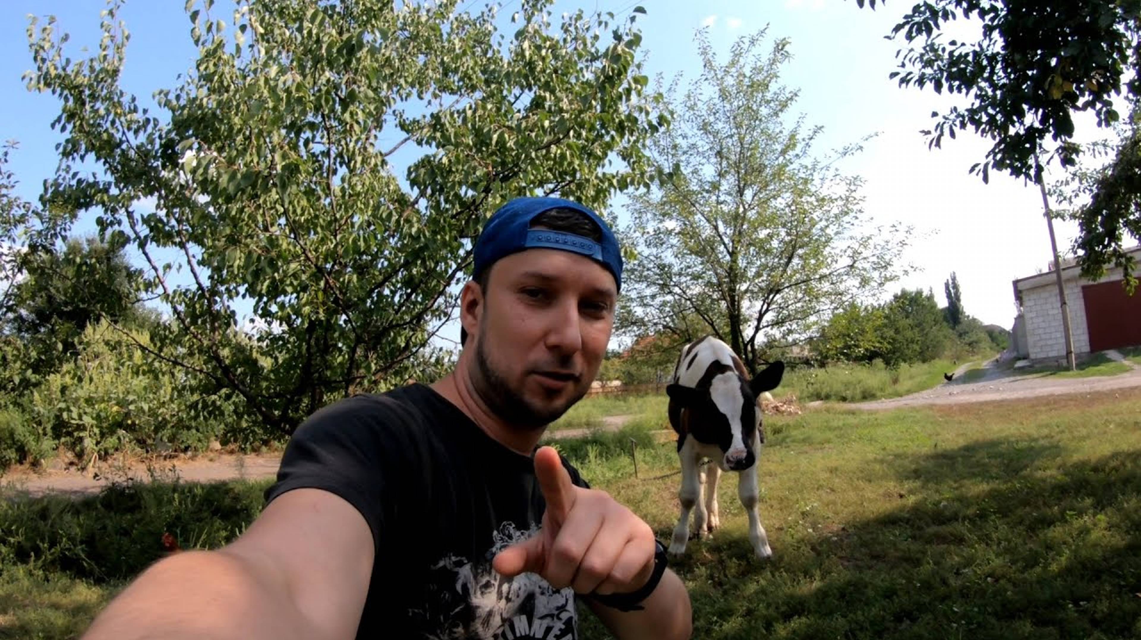 Сельские новости из деревни 🦆 Сельская новь, выкопали картошку, бездомная кошка, сладкий корм