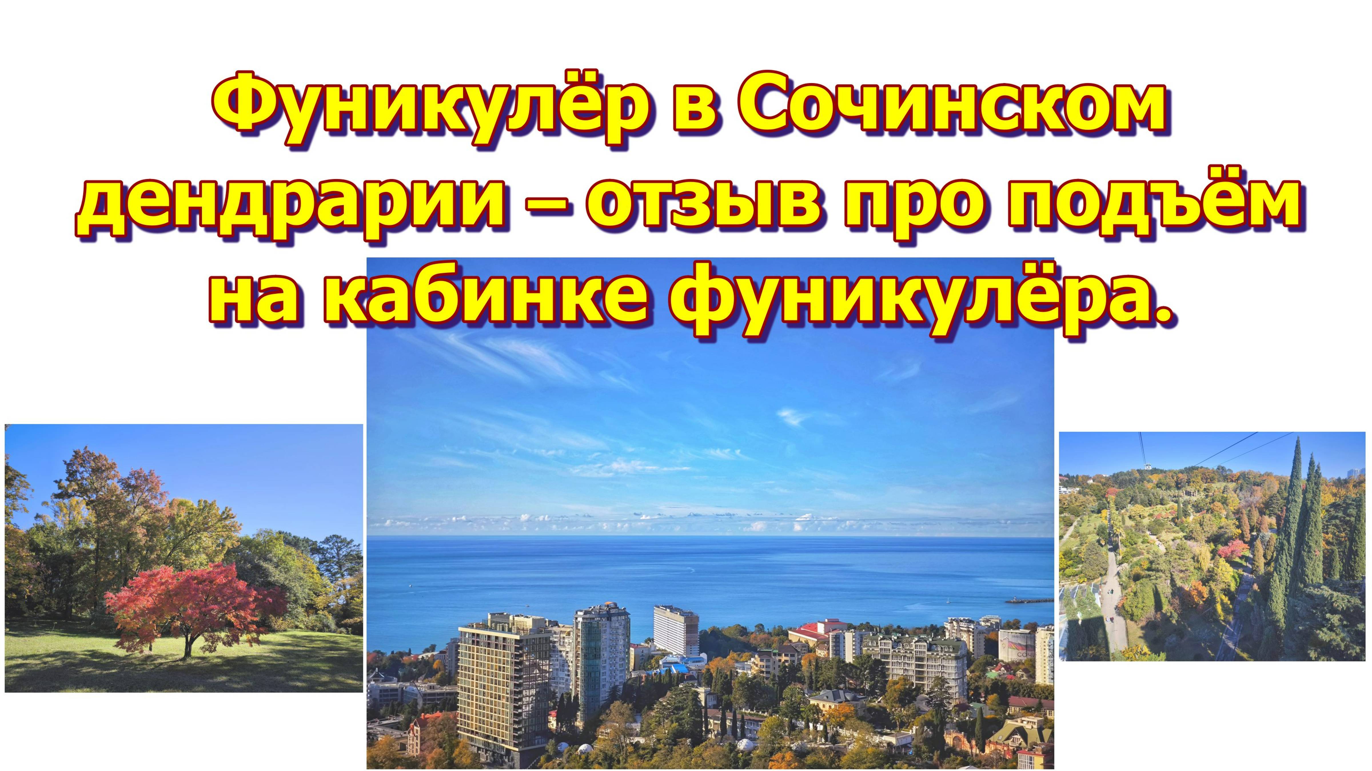 Фуникулёр в Сочинском дендрарии – отзыв про подъём на кабинке фуникулёра.