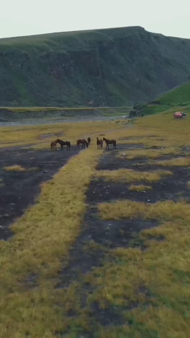 Экспедиция к Эльбрусу 2023 #семейныйотдых #путешествия #эльбрус