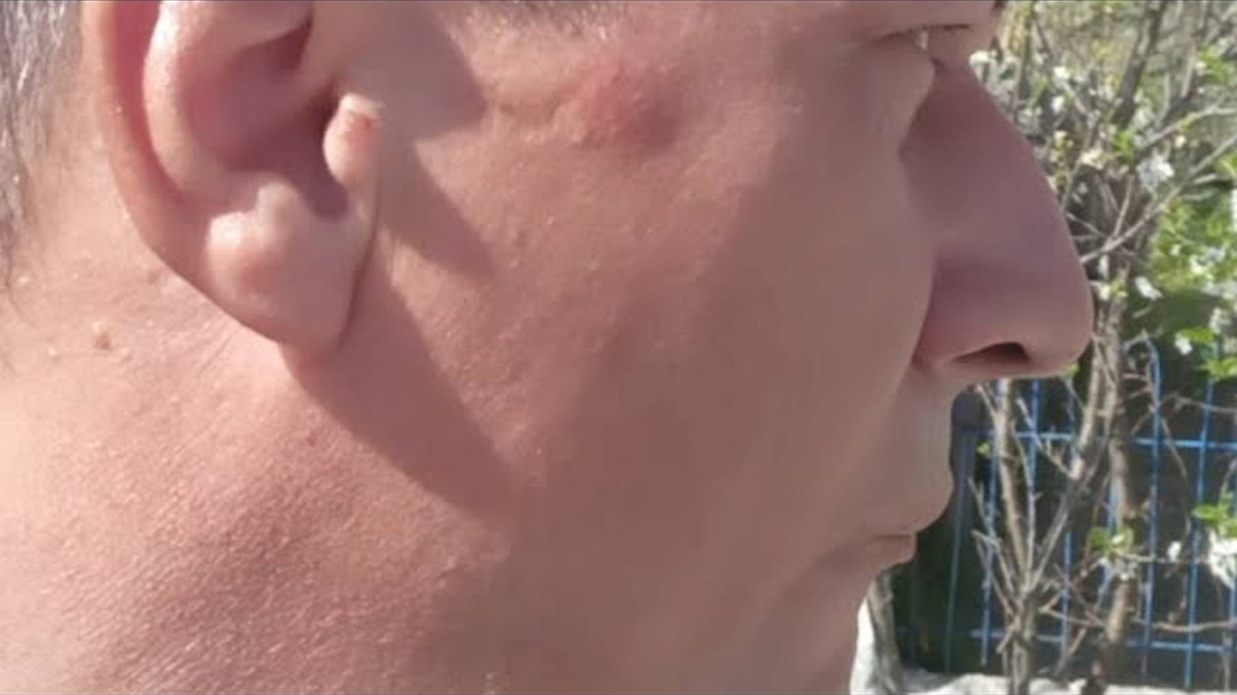 628.£_€.2.04.04.Я.ЖАЛУЮСЬ. shcherbakov. prophet ЩЕРБАКОВ АРТЕМ.