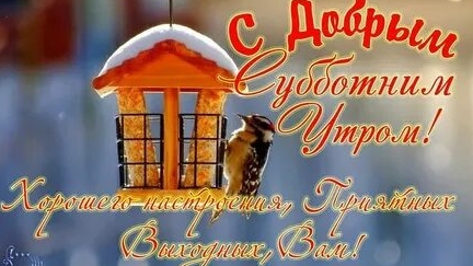 Субботний день! Отдыхаем в выходной!