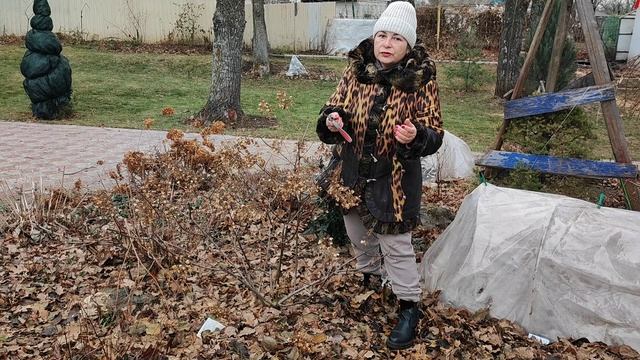 В теплице строю парник в декабре.