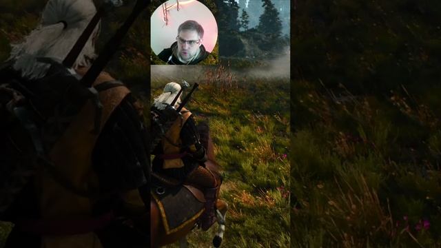 Месть Плотвы ▶ Ведьмак 3 Дикая Охота #shorts