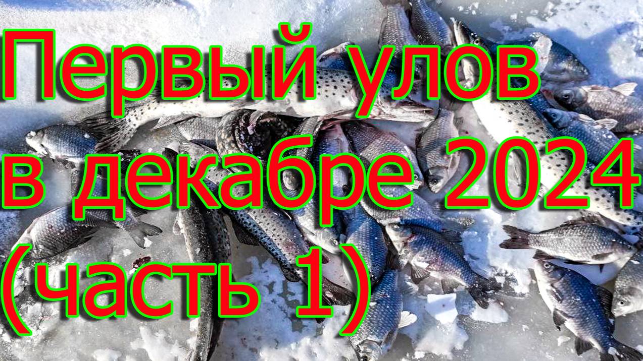Первый улов в декабре 2024 (часть 1)🐬🚤❄️⛄
