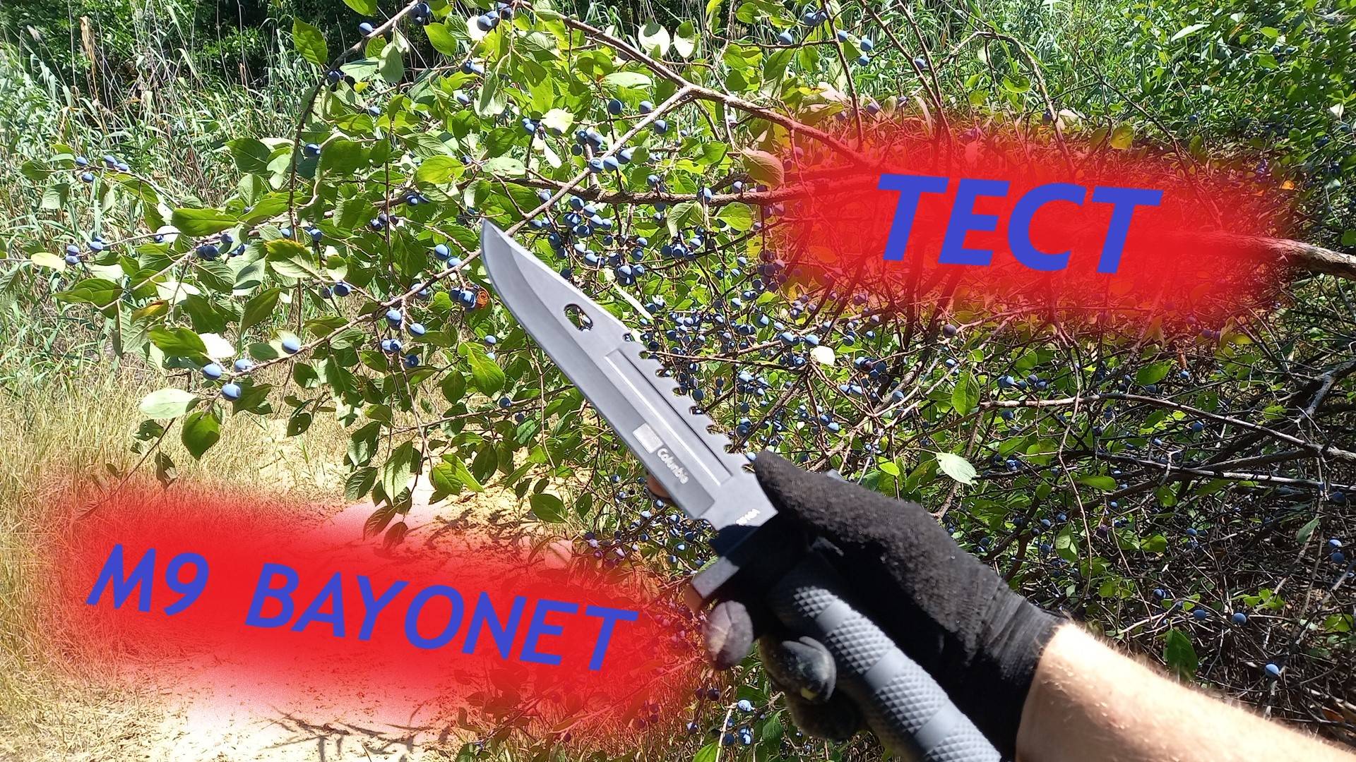 ТЕСТ НОЖА M9 BAYONET