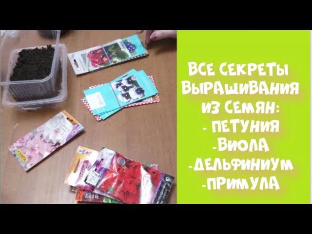 ВСЕ СЕКРЕТЫ ВЫРАЩИВАНИЯ ИЗ СЕМЯН: ПЕТУНИЯ, ВИОЛА, ПРИМУЛА, ДЕЛЬФИНИУМ.