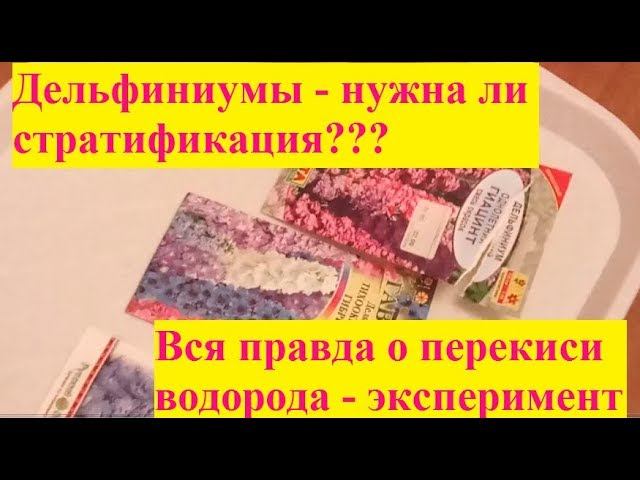Дельфиниум эксперимент. Нужна ли стратификация? Эксперимент - часть 1